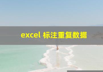 excel 标注重复数据